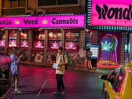 cannabis thailand tourist guide phuket cannabis culture