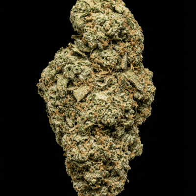 High-quality Amnesia cannabis bud from Amsterdam.