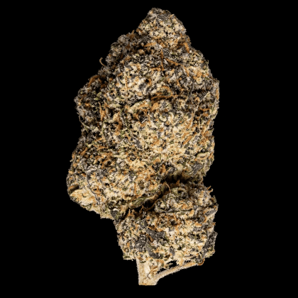 High-quality Black Cherry Gelato cannabis flower for relaxation and flavor. Perfect for connoisseurs.