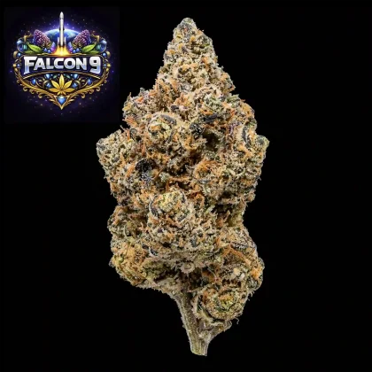 High-quality Falcon 9 cannabis bud with vibrant orange hairs and frosty trichomes. Perfect for relax.