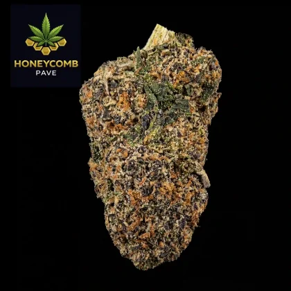 Close-up of Honeycomb Pave cannabis bud with trichomes and vibrant orange hairs.