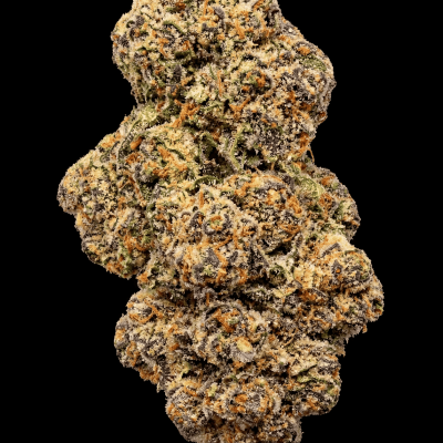 Close-up of a frosty Ice Cream Cake cannabis bud with vibrant orange and purple hues.