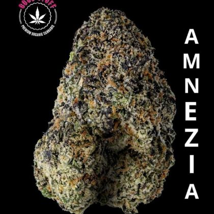 photo_2026-02-22_10-51-30