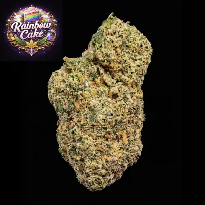 High-quality rainbow cake cannabis bud with vibrant colors and sweet, fruity scent. Perfect for rela.