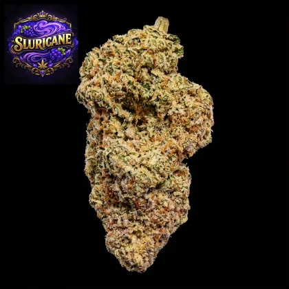 Close-up of a dense, frosty cannabis bud labeled Sluricane.