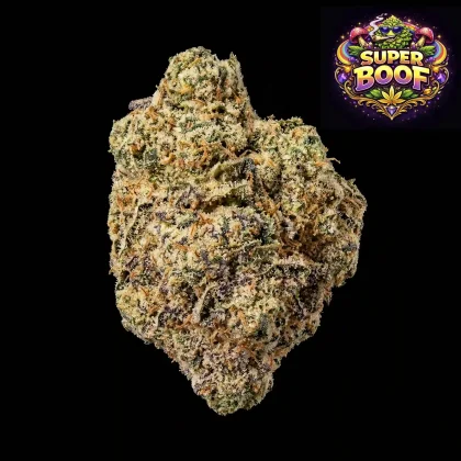 Premium Super Buff cannabis flower for relaxation and wellness.