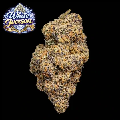 High-quality White Iverson cannabis flower for delivery.